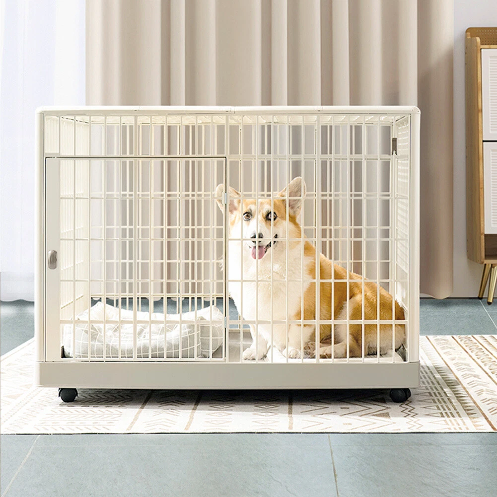 Large dog cage 2024 pets at home