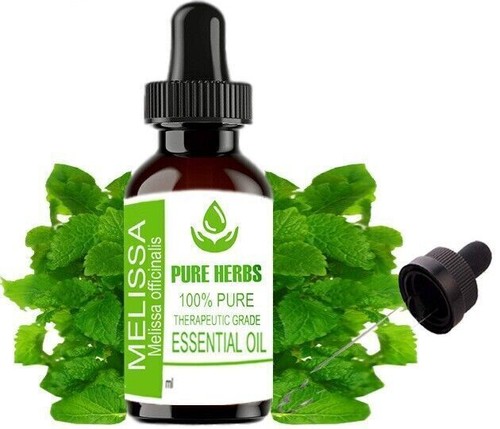 Pure Herbs Melissa Pure & Natural Melissa officinalis Essential Oils - Picture 5 of 10