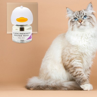 Cat Calming Diffuser Relieve Anxiety Stress Cats Anti Anxiety Calm Diffusers