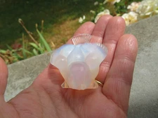 Sabino oiseau opalescent (3)