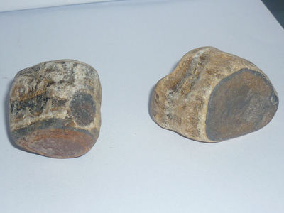 crystal therapy RAW TIGER EYE A++ natural mineral rock mineralogy