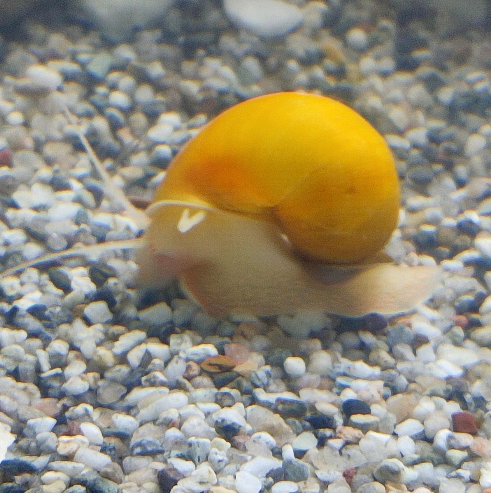 Foto 7 di 8