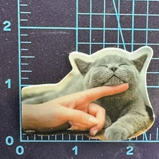 Cat Life OK You can Scratch my CHIN - Cat World - Vinyl Decal Sticker Bomb Meme