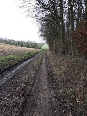 Photo 6x4 Track past Moore's Wood Woodsend/SU2275 Midday Christmas 2017. c2017