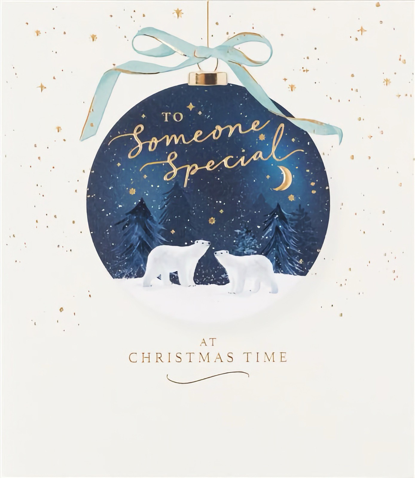 Someone Special Christmas Card Polar Bears Wife Husband Boyfriend Girlfriend