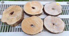 WHITE CEDAR 5 pc. Round End Cut 7 3/8" to 9" diameter Rustic Live Edge  337