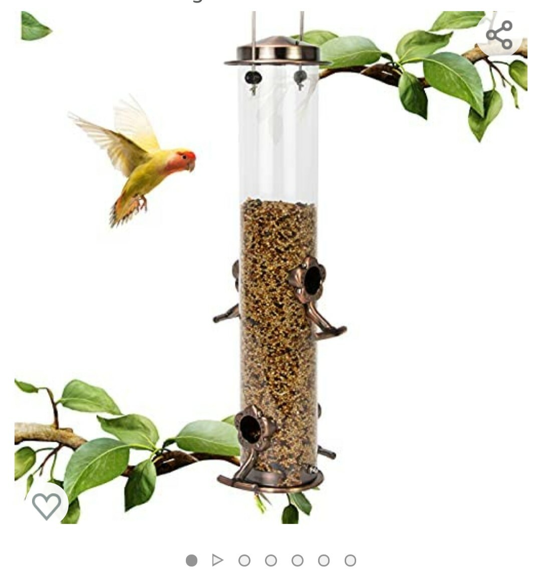 Wild Bird Seed Hanging Tube Feeder Feeding Ports Metal Finishing
