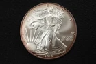 NobleSpirit (LG) Superb Gem BU 2010 American Silver Eagle .999 1oz Edge Toning
