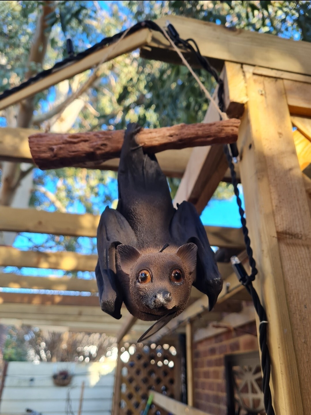 Vivid Arts Hanging Fruit Bat  Highly Detailed Home or Garden Decoration