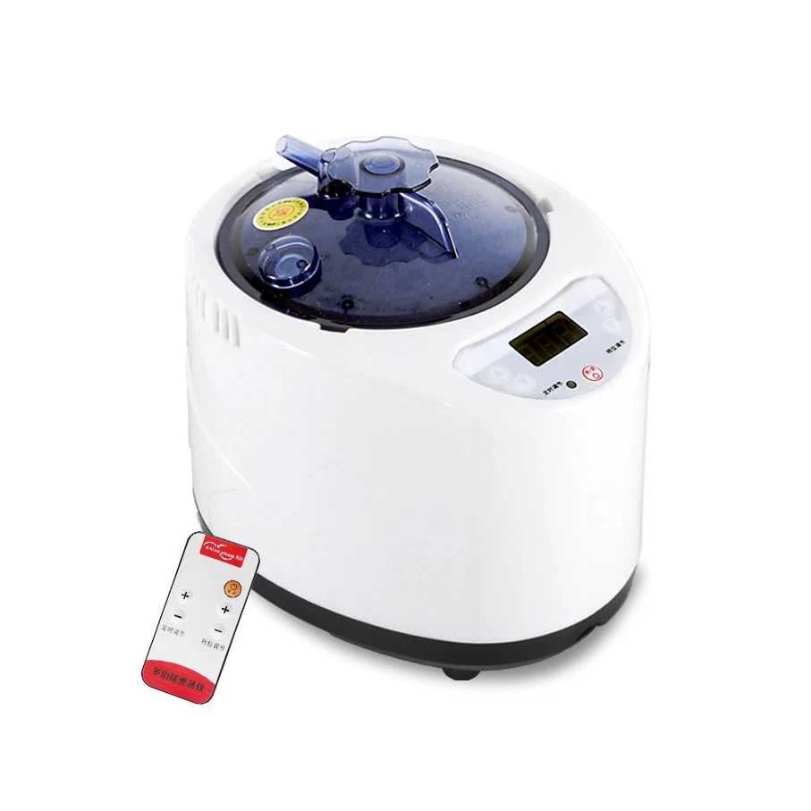 2.6L Sauna Machine 1000W Portable Sauna Steamer Pot Generator Fumigation Mahine - image 3 of 4