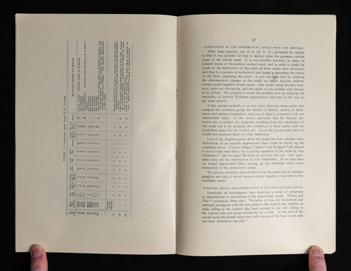 Anatomic and Physiologic Studies of the Eighth Nerve 1921 Ernest Sachs B. Alvis - Picture 8 of 9