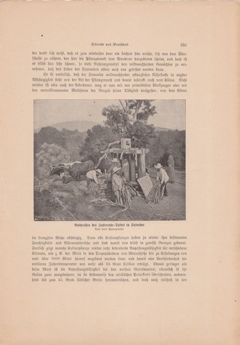 Alte ANTIKE KUNSTDRUCKE von 1902 aus Wissenschafts-Magazinen ECHT Buchseiten A4 - Bild 10 von 24