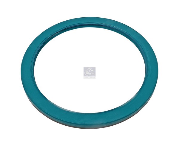 Wellendichtring Dt Spare Parts 4.20730 D:145Mm D:175Mm H:11Mm-image