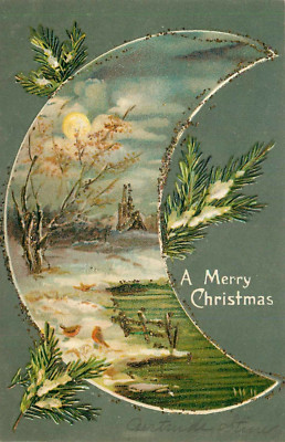 Postcard Christmas Crescent Mica Stone Red Robins 1906 Undivided