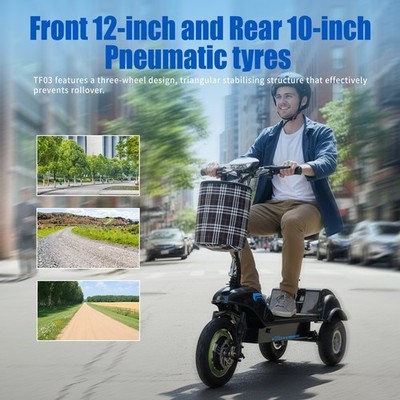 2025 TWOFISH TF03 Elektroroller with Removable Seat, 500W Motor, 48V 15Ah 28km/h