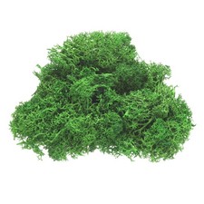 Preserved Reindeer Moss, 4 OZ Fake Moss for Crafts Green 
