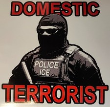 Anti ICE 4.5" vinyl bumper sticker, Anti Trump, domestic terrorist, Renee good 