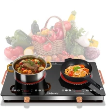 2 Burner Electric Cooktop 24 inch, 110-120V Plug in 2000W Ceramic Cooktop, Porta