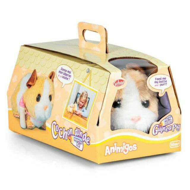 cuddly toy guinea pig