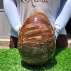 9.9LB Natural wood fossil Quartz Crystal egg Mineral specimen Healing — photo 1