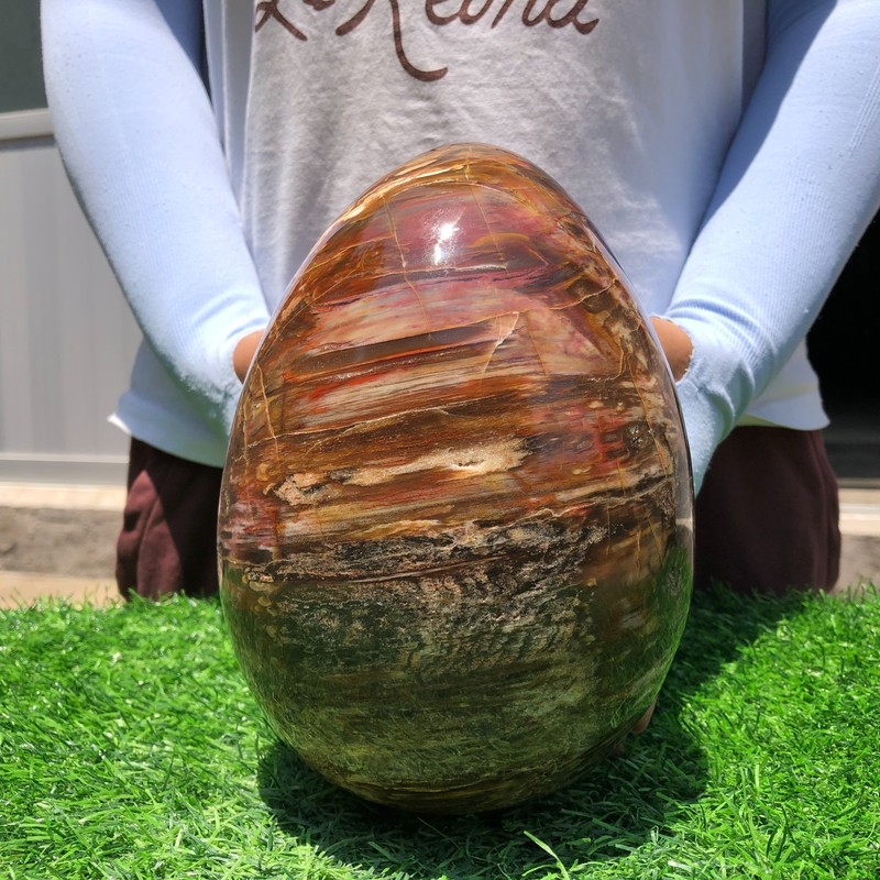 9.9LB Natural wood fossil Quartz Crystal egg Mineral specimen Healing