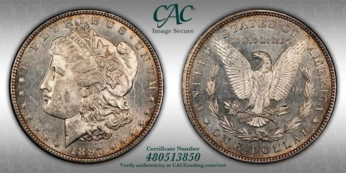 1897 Morgan Silver Dollar CAC Certified AU Details. 1 DAY, NO RESERVE AUCTION 🔥