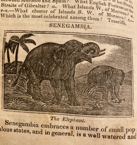 View Of The Present State Of The World~ Dated 1853 Practical System Modern Geogr - Picture 12 of 12