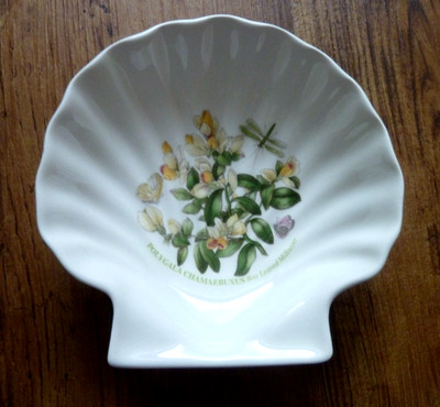 Portmeirion Botanischer Garten Kastenblatt Milchkraut Muster Jakobsmuschel Muschelform Schale