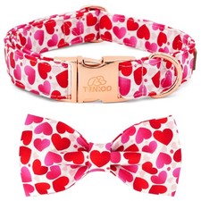 Valentines Day Dog Collar with Bow Tie Red Hearts Rose Gold Buckle Fits Small