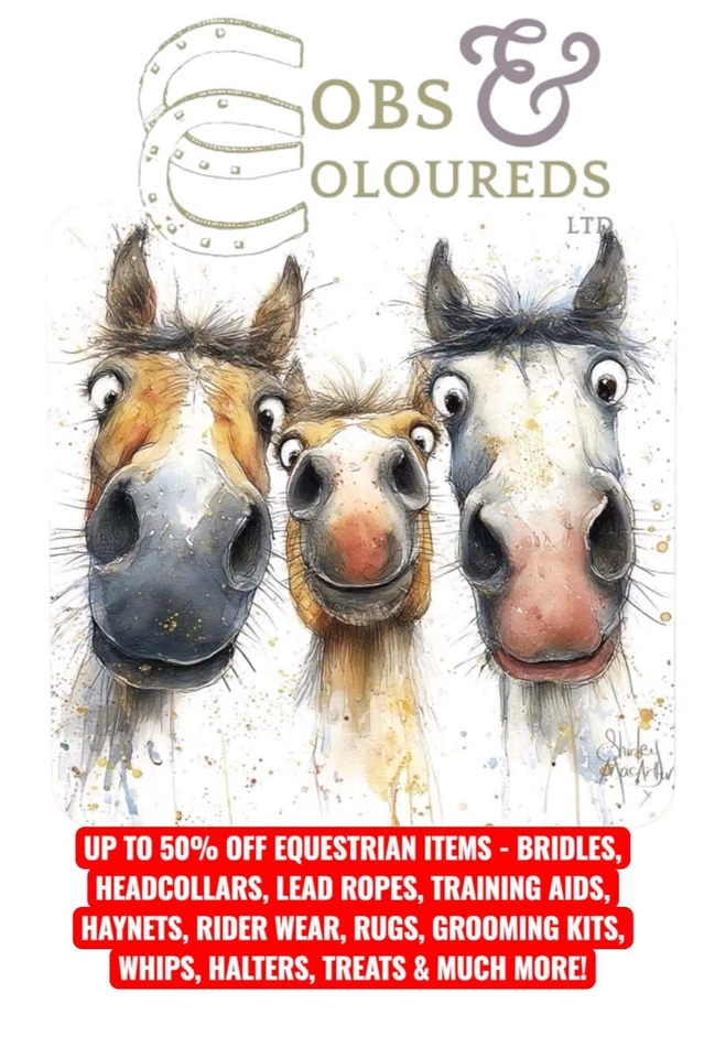 TACK RIDER WEAR HARNESS TREATS HEADCOLLARS GROOMING HAYNETS UP TO 50% OFF