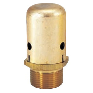 mai/4 Bell & Gossett 113075 Vacuum Breaker, 3/4 in, MNPT, 240 psig, 300