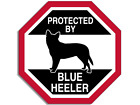 3x5 inch Oval Protected By Blue Heeler Sticker (Acd Australian Cattle Dog Decal)