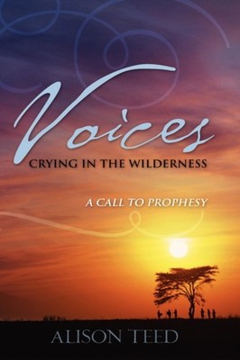 Teed - Voices Crying in the Wilderness - paperback or softback - 19 - E555z