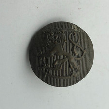 Royal Lion Wielding Sword Button Crown Finnish Army Finland Vintage Antique