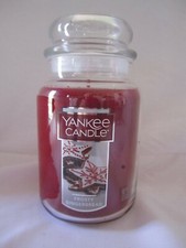 Yankee Candle Large Jar 110-150 hrs 22 oz Holiday Seasonal FROSTY GINGERBREAD