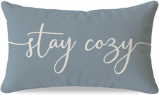Dusty Blue Throw Pillow Cover 12X20 Inch, Stay Cozy Cushion Case Decorative Lu