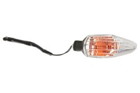 Vicma 9985 Blinker Blinkleuchte Hinten Rechts