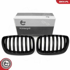 1x Kühlergitter ESEN SKV 66SKV278 passend für BMW