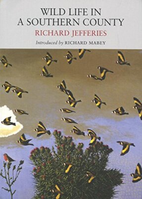 Wild Life in a Southern County (Nature Classics Library),Richard