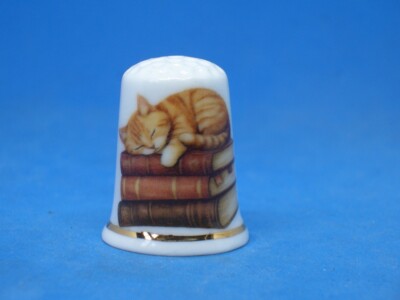 Birchcroft Porzellan Fingerhut -- Lesekatze mit Kuppel Geschenkbox