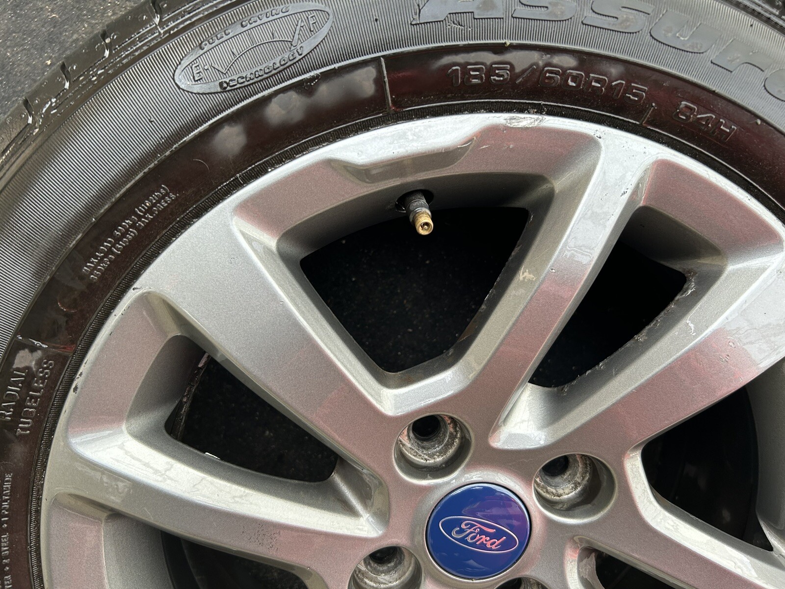 Picture 3 of 6
