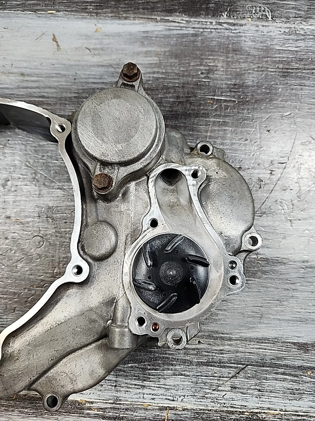2014 - 2018 Yamaha YZ250F Inner Clutch Cover 1SM-15431-00-00 WR250F YZ250FX