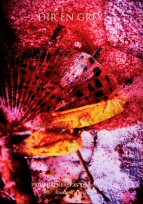 DIRENGREY CD、DVD DIR EN GREY FROM DEPRESSION TO mode of 16-17 DVD Japan SFBD-0072