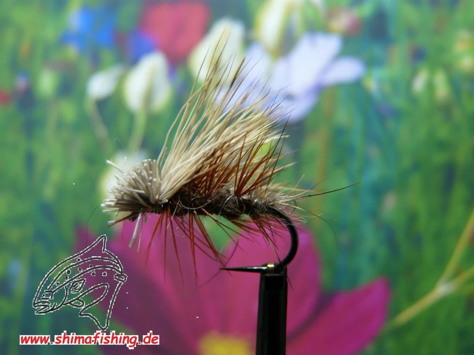 SHIMAFISHING Trockenfliege " Elk Caddis Natural ", 3er Set , auf Schonhaken/ barbless hook