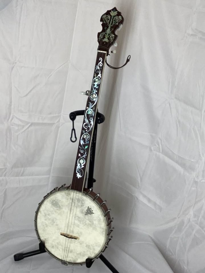Vega Fretless Five String Open Back Banjo