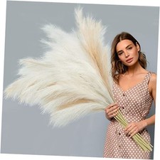 8 Pcs Faux Pampas Grass Decor 38''/97cm Tall Artificial Large Pompous Beige