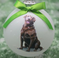 D196 Hand-made Christmas Ornament dog - Chesapeake Bay Retriever - smile sitting