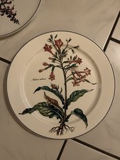 Villeroy Boch Botanica Kuchenplatte Servierplatte