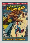 AMAZING SPIDER-MAN #110 VG 4.0 MARVEL COMICS 1972