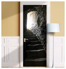 Cellar Stairs Door Mural | Seamless 1-Piece Laminated Wrap | Renter Friendly